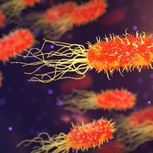 腸内細菌が分泌するニコチンアミドでALSが改善することが判明! (2019年7月Nature誌)