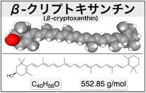 βクリプトキサンチンの構造_出典：PubChem ＆Wikimedia Commons, by Oks Own work using